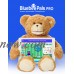 NEW Bluebee Pals Pro Talking Learning Tool Sammy the Bear   553380774